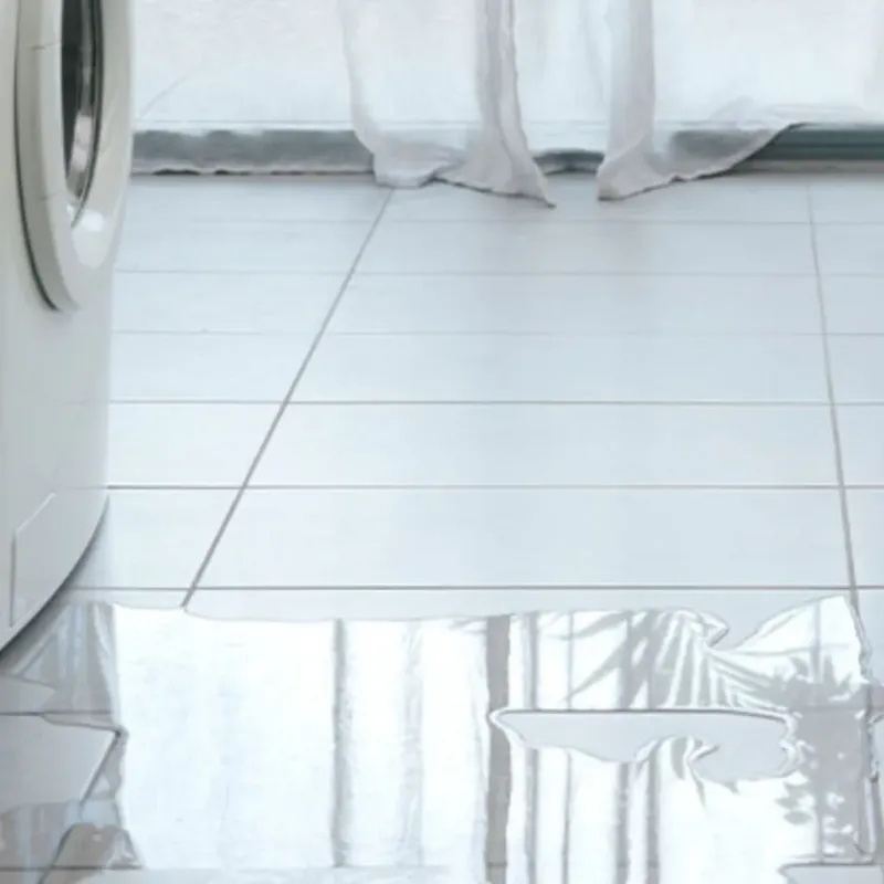 Appliance Leak Cleanup in Naples, NY