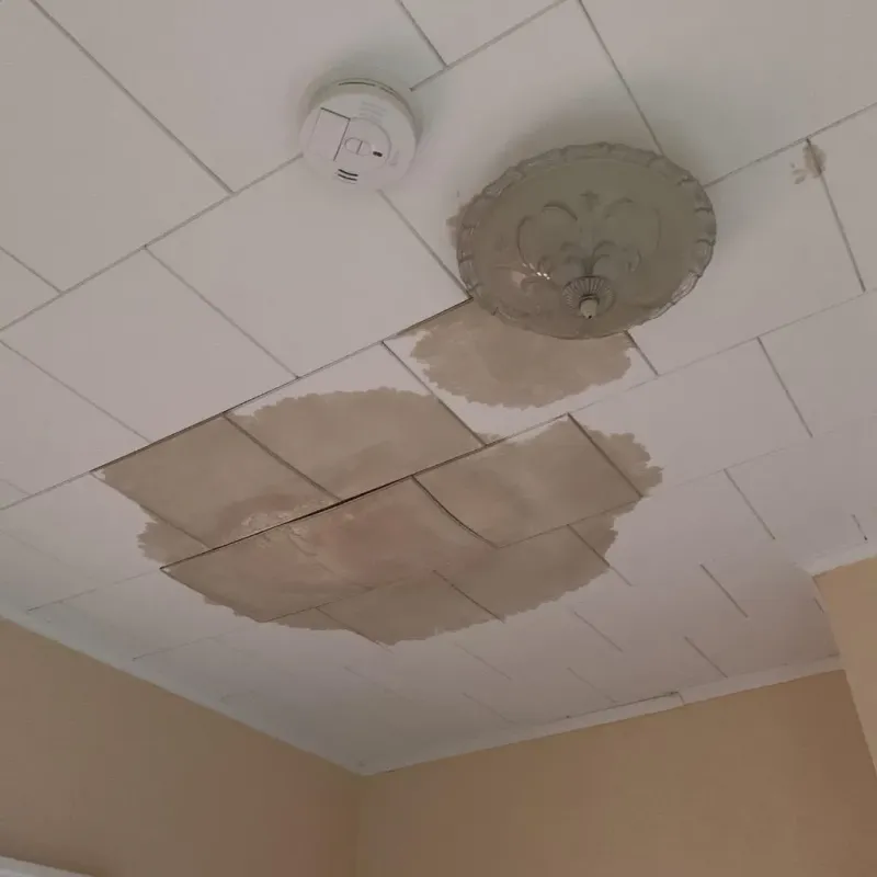Ceiling Water Damage Repair in Naples, NY