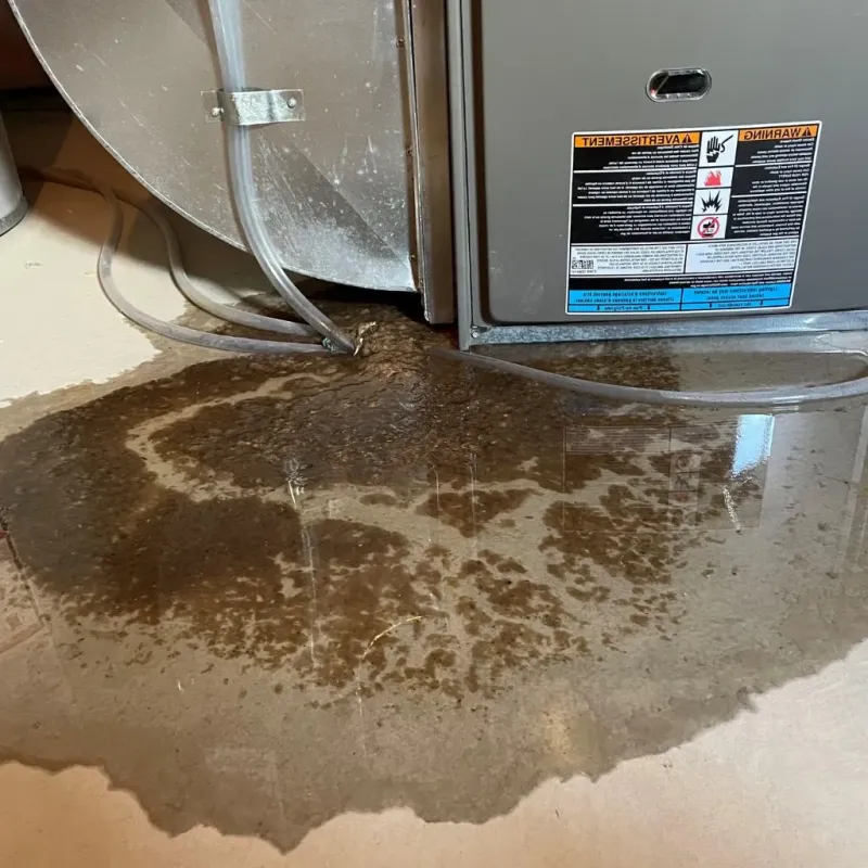 Pipe Burst and Leak Restoration in Naples, NY